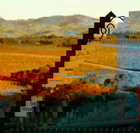 Seize the Day Wines - Broome Tourism