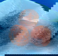 Coral Bay Bakery - Broome Tourism