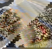 Meshiya Japanese - Broome Tourism