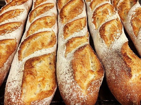 Rottnest Bakery - Broome Tourism 2