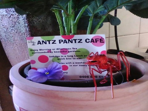 Antz Pantz Cafe - Broome Tourism 0