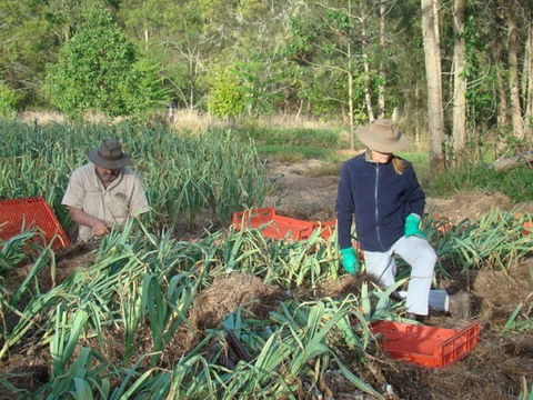 Sweet Water Farm - Broome Tourism 0