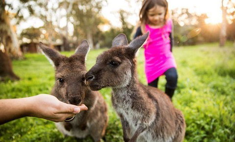 Woodstock Coterie Estate - Broome Tourism 16