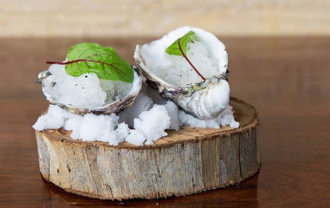 Woodstock Coterie Estate - Broome Tourism 23