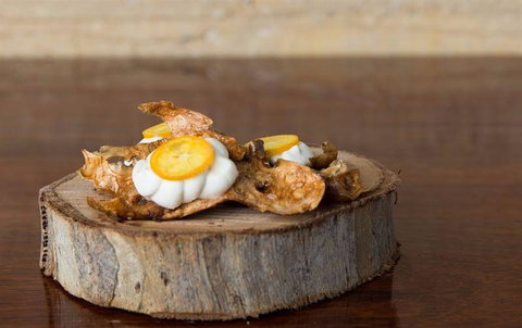 Woodstock Coterie Estate - Broome Tourism 6