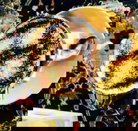 Cafe 3847 - Broome Tourism