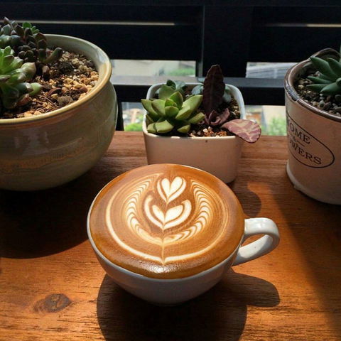 V Espresso - Broome Tourism 0