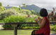 Daintree Ice Cream Company - thumb 1