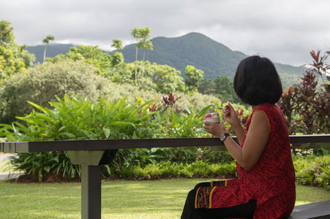 Daintree Ice Cream Company - Broome Tourism 1