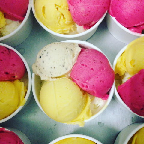 Daintree Ice Cream Company - Broome Tourism 2