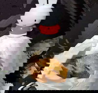 Lil' Orbit - Broome Tourism