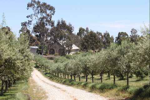 L'Oliveraie Olive Grove - Broome Tourism 0