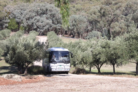 L'Oliveraie Olive Grove - Broome Tourism 2
