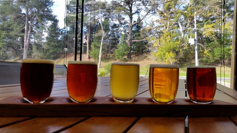 Cubby Haus Brewing - Brewery And Bar - Broome Tourism 1
