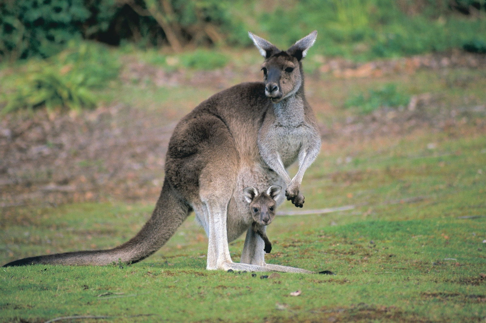 Glen Forrest WA Broome Tourism