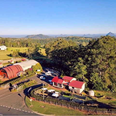 Live Foods Cafe - Broome Tourism 0