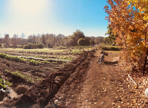 Synchronicity Farm - Broome Tourism 1