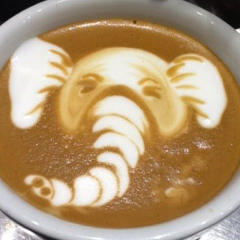 Cafenatics - Docklands - Broome Tourism 0