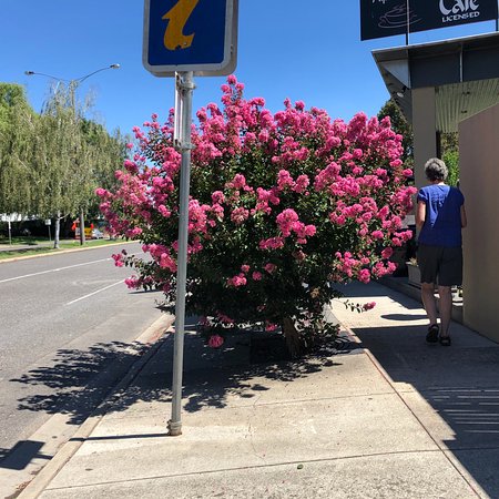 Alpine Gate Cafe - Broome Tourism 0