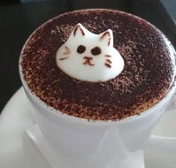 Cafe 2340 - Broome Tourism