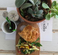 Cafe Silo - Broome Tourism