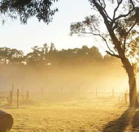 Spot Pea - Broome Tourism