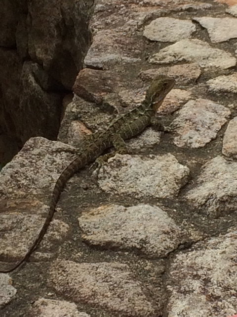 Cafe 37 - Broome Tourism 4