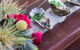 Kingsland Vegan Restaurant - thumb 7
