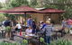 Warrandyte Cafe - thumb 4