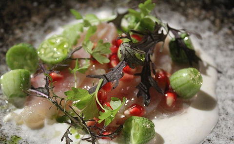 Allegra Dining - Broome Tourism 1