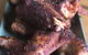 The Vard Restaurant - thumb 1