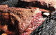 The Vard Restaurant - thumb 3
