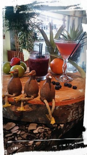Limetree Bar & Restaurant - Broome Tourism 2