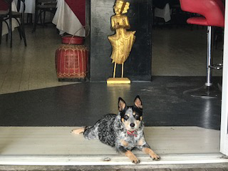 Gatakers Landing Restaurant - Broome Tourism 4