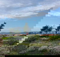 Coffee Cat - Broome Tourism