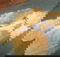 The Taj Restaurant - Broome Tourism