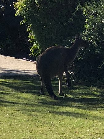 Preston Beach WA Broome Tourism