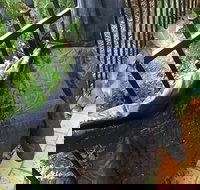 Cafe Settebello - Broome Tourism