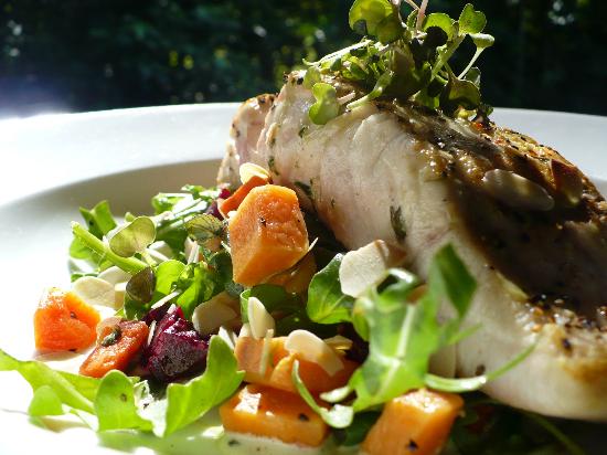 Cape Tribulation QLD Broome Tourism