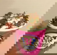 Baskin Robbins Toowoomba - Broome Tourism