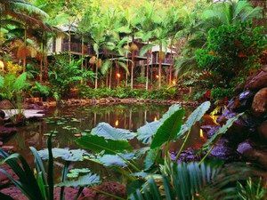 Daintree Eco Lodge & Spa - Broome Tourism 0