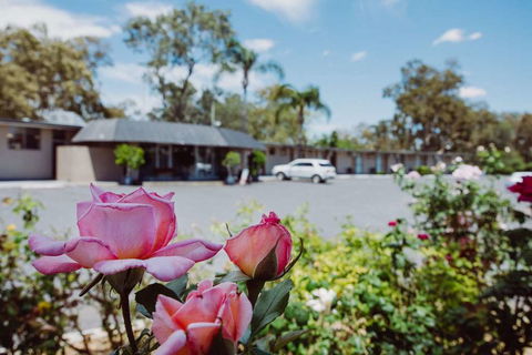 Artesian Spa Motor Inn - Broome Tourism 2