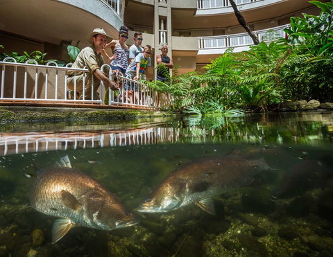 DoubleTree by Hilton Cairns - Broome Tourism 4