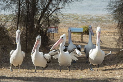 Mercure Kangaroo Island Lodge - Broome Tourism 15