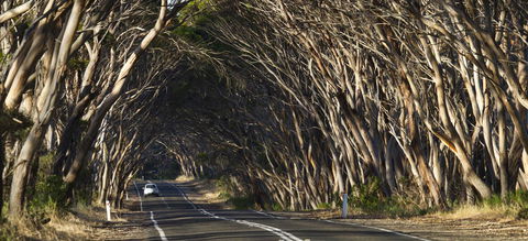 Mercure Kangaroo Island Lodge - Broome Tourism 40