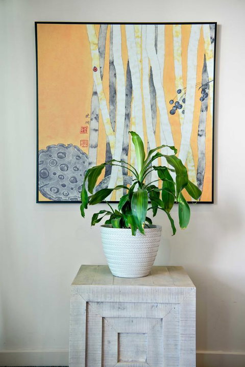 Port Adelaide Executive Waterfront Apartment - Broome Tourism 15