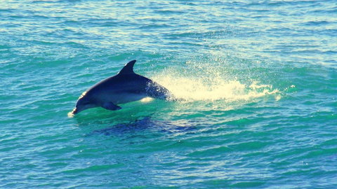 Mollymook Beach Waterfront - Broome Tourism 22