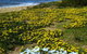 Serenity On Narrabeen Beach - 1Bdr Beachside Retreat - thumb 10