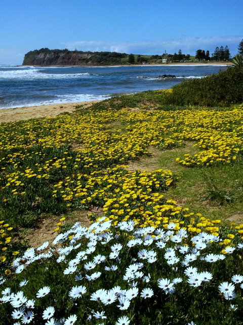 Serenity On Narrabeen Beach - 1Bdr Beachside Retreat - Broome Tourism 10