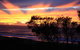 Serenity On Narrabeen Beach - 1Bdr Beachside Retreat - thumb 1